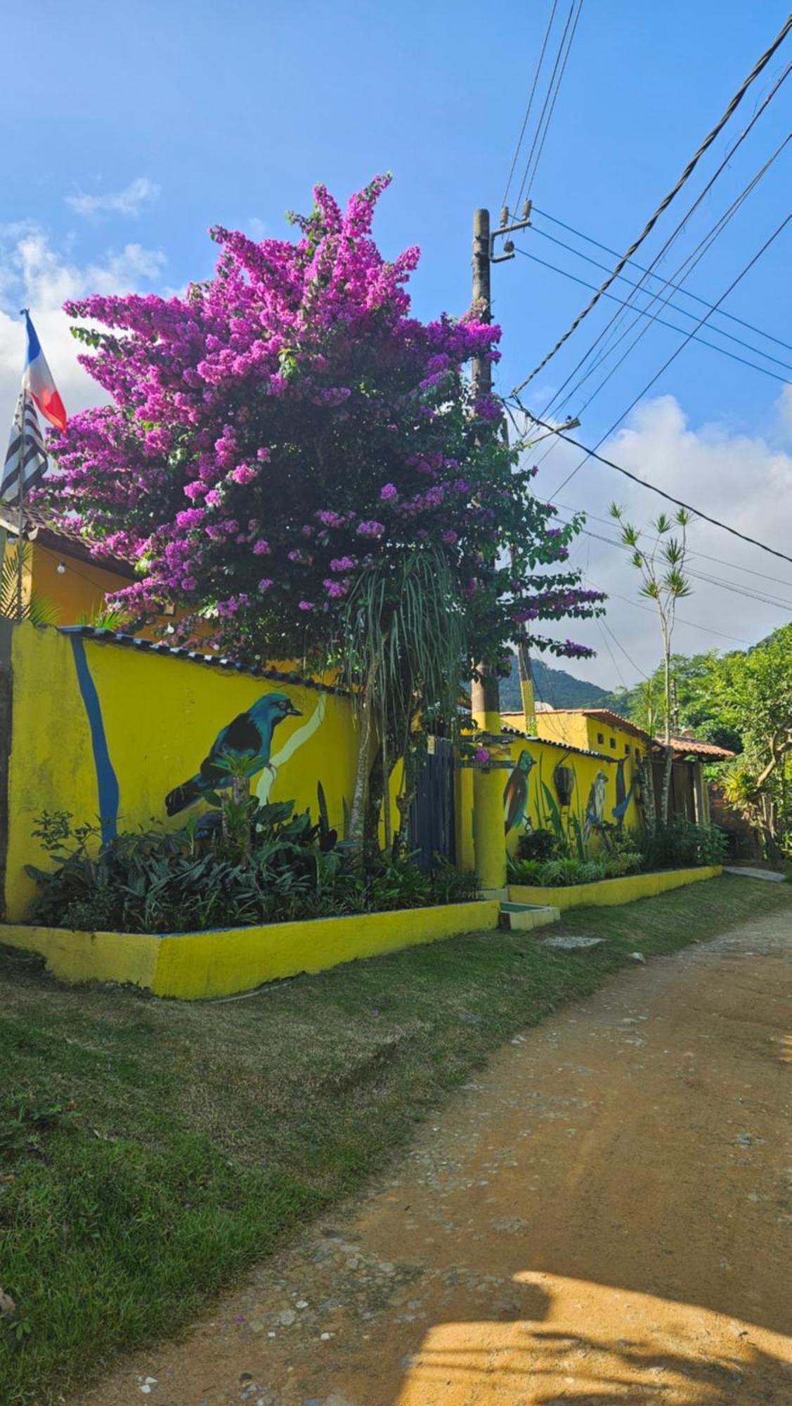 Casa Dos Franceses Ilha Grande Villa Luaran gambar